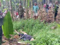 Pamit Nyari Daun Aren, Kakek asal Buahdua Sumedang Ditemukan Tewas di Kebun