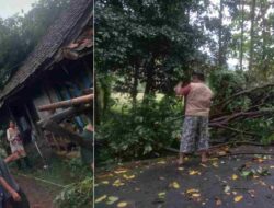 Hujan Lebat di Conggeang Sumedang, Pohon Tumbang, Aliran Listrik Putus, 3 Rumah Rusak