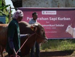 Telkomsel Sumbang 1 Ekor Sapi untuk Warga Sirnamulya