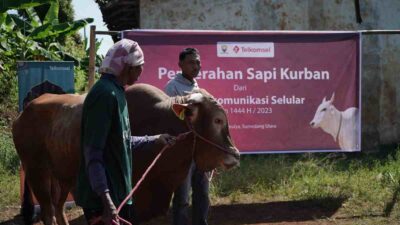 Telkomsel Sumbang 1 Ekor Sapi untuk Warga Sirnamulya