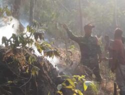 3 Hektare Lahan di Kaki Gunung Tampomas Sumedang Terbakar