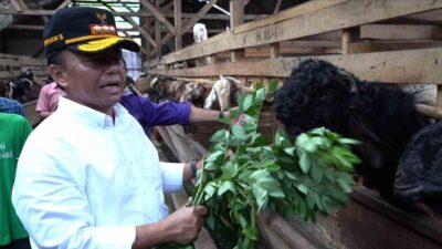 Pj Bupati Sumedang Temui Kelompok Ternak Kambing Mekar Jaya Desa Jambu