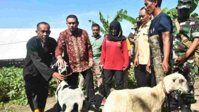 Program Ternak Domba Desa Cibeureum Wetan Sumedang Tuai Pujian