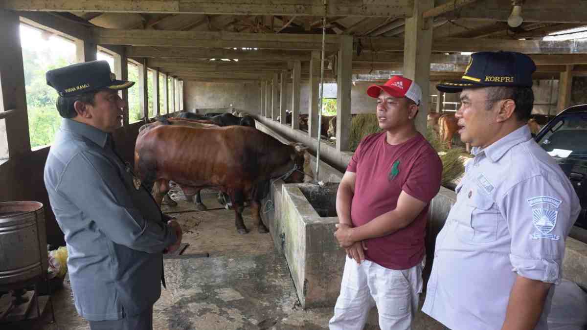 Rumah Potong Hewan di Rancapurut Sumedang